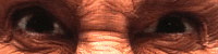 Topps